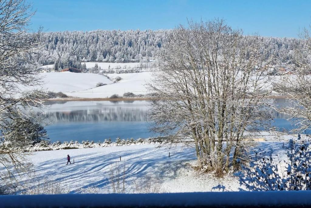 Duplex 6 Personnes, Vue Panoramique Sur Lac Malbuisson Kültér fotó